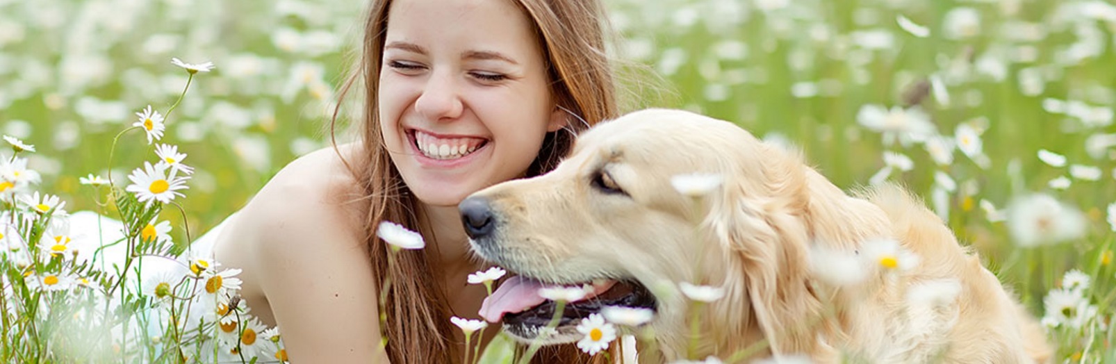 犬や猫を好きな女性や飼い主さんへのプレゼントの選び方のポイント